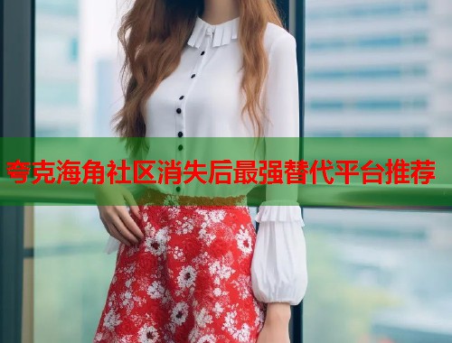 夸克海角社区消失后最强替代平台推荐