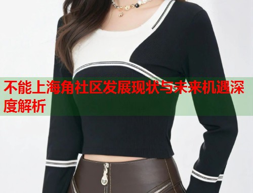 不能上海角社区发展现状与未来机遇深度解析