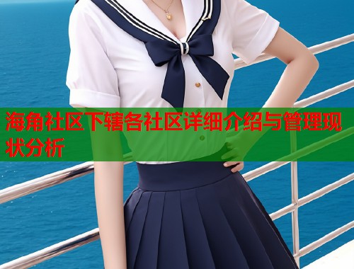 海角社区下辖各社区详细介绍与管理现状分析