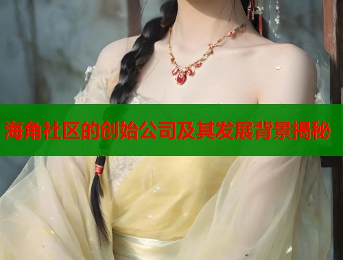 海角社区的创始公司及其发展背景揭秘  第2张