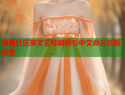 海角社区英文名称解析与中文命名创新探索